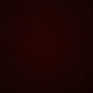 Meet your Posher, Lena